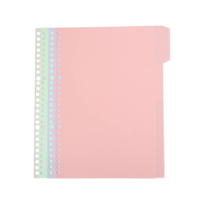 Lucy bilježnica s listovima za razdvajanje i PP koricom, papir 60 g/m², 50–100 stranica, Model 101