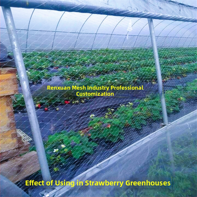 Mreža protiv ptica za staklenik s ventilacijom – za jagode, dinje, grožđe i voće