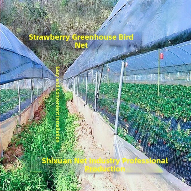 Mreža protiv ptica za staklenik s ventilacijom – za jagode, dinje, grožđe i voće