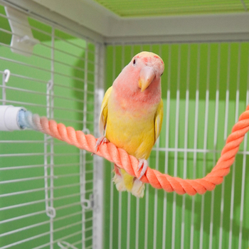 Jucărie pentru papagali cu funie gradient curcubeu, perche de cățărare, pentru ascuțirea ciocului și a ghearelor – accesorii pentru cușcă
