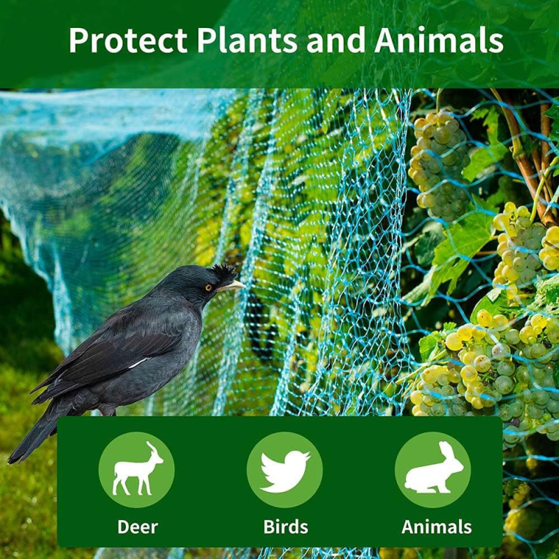 Mreža protiv ptica bez čvorova za voćnjake i vinograde, PE materijal, otvori 2,5 mm, promjer žice 0,2 mm, 3 godine trajnosti