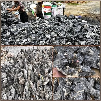Zmajska stijena – prirodni kamen za mikro krajolik i akvarij, pakiranje 25 kg