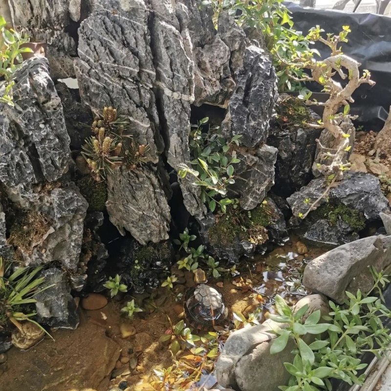 Ландшафтен камък за градина, киселинно измит, декоративен камък за бонсай и мини ландшафт