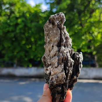 Kamen pejzaža za akvarij – Vrhunski kamen zmaja, prirodni kamen s bonsai dekoracijom