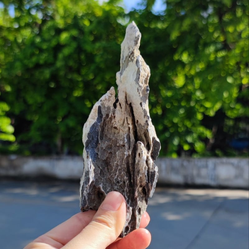 Kamen pejzaža za akvarij – Vrhunski kamen zmaja, prirodni kamen s bonsai dekoracijom