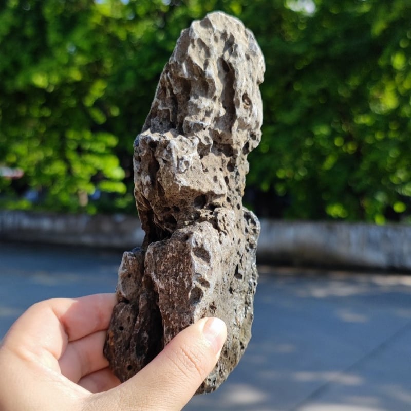 Kamen pejzaža za akvarij – Vrhunski kamen zmaja, prirodni kamen s bonsai dekoracijom