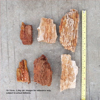 Естествен камък за аквариум – декоративен камък за аквариумни пейзажи, естествена форма, тегло 200–3000 g, за гледане