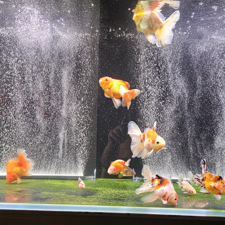 XSF Аквариумна лента за балончета с атомизация за аерация, 2,0 кг, оборудване за аквариум