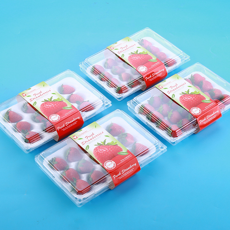 Jednorazová priehľadná krabička na jahody, s vnútornou oporou, s uzáverom, model 500p, PE plast