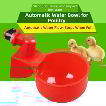 Αυτόματη ποτίστρα για πουλερικά — πλαστικό μπολ νερού για κοτόπουλα, πάπιες, χήνες και άλλα πουλιά
