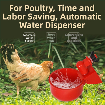 Αυτόματη ποτίστρα για πουλερικά — πλαστικό μπολ νερού για κοτόπουλα, πάπιες, χήνες και άλλα πουλιά