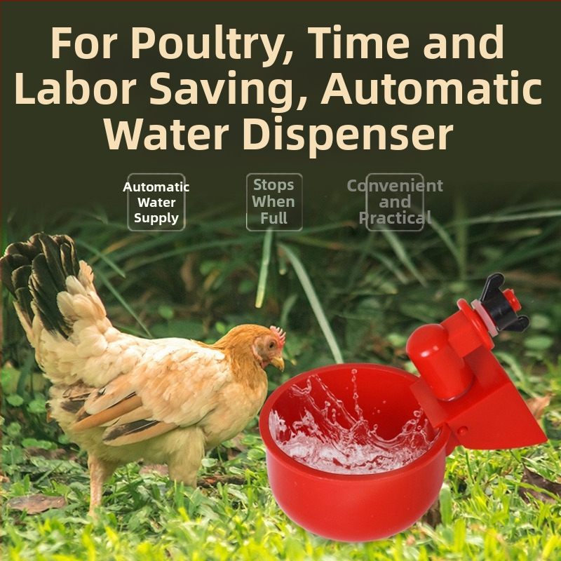 Αυτόματη ποτίστρα για πουλερικά — πλαστικό μπολ νερού για κοτόπουλα, πάπιες, χήνες και άλλα πουλιά