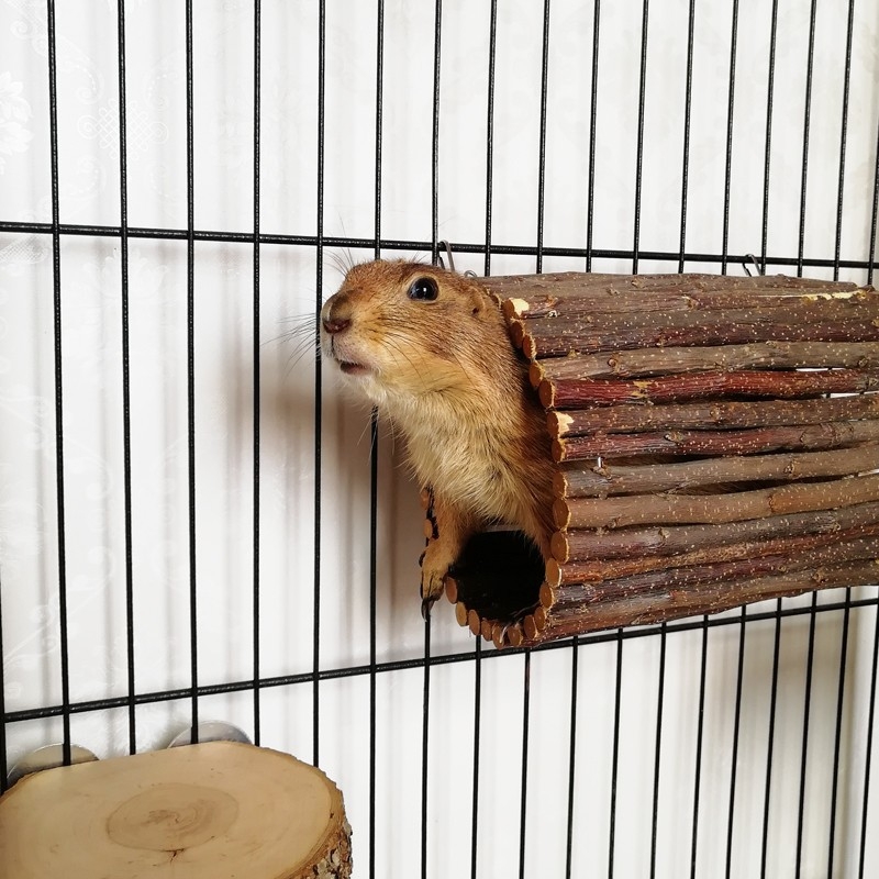 Cuib pentru animale de companie din lemn de măr — tunel din lemn și jucărie cu gaură pentru iepuri și rozătoare; Material: Lemn de măr; Import: Nu; Categoria: Cuib pentru animale de companie