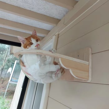 Fat Afu πλαστικό γατόσπιτο τοίχου — κατάλληλο για γάτες, όλες οι εποχές