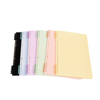 Caiet cu foi detașabile, legare tip dosar, hârtie cu dublă acoperire 80 gsm, 50–100 pagini, copertă PP