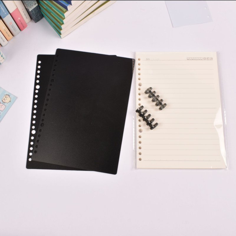 Caiet cu foi detașabile, legare tip dosar, hârtie cu dublă acoperire 80 gsm, 50–100 pagini, copertă PP