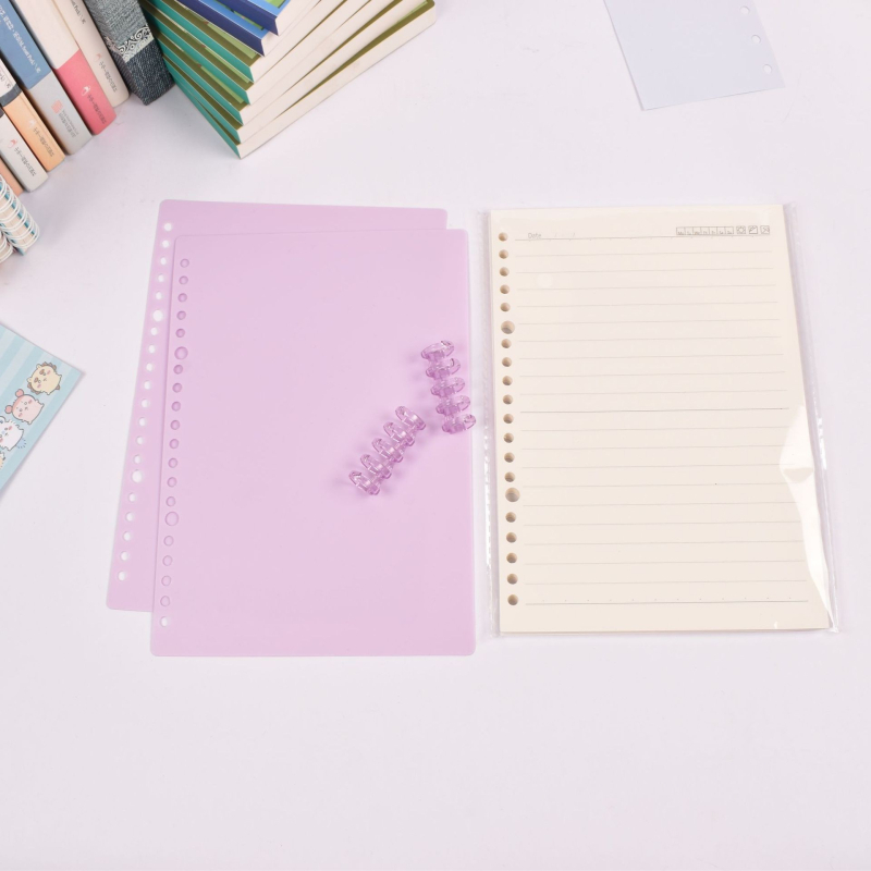 Caiet cu foi detașabile, legare tip dosar, hârtie cu dublă acoperire 80 gsm, 50–100 pagini, copertă PP