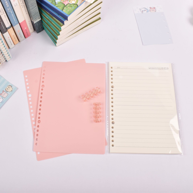 Caiet cu foi detașabile, legare tip dosar, hârtie cu dublă acoperire 80 gsm, 50–100 pagini, copertă PP