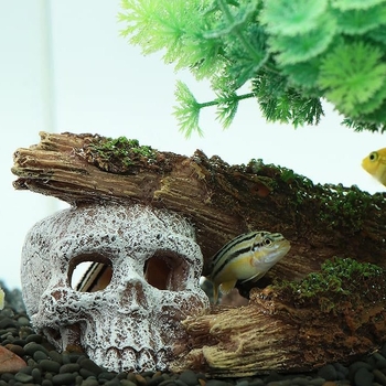 Smoleni akvarijski krajinski ukras – model rxkl1, namijenjen dekoraciji akvarija, stil mahovasti mikropejzaž, težina 212,5 g