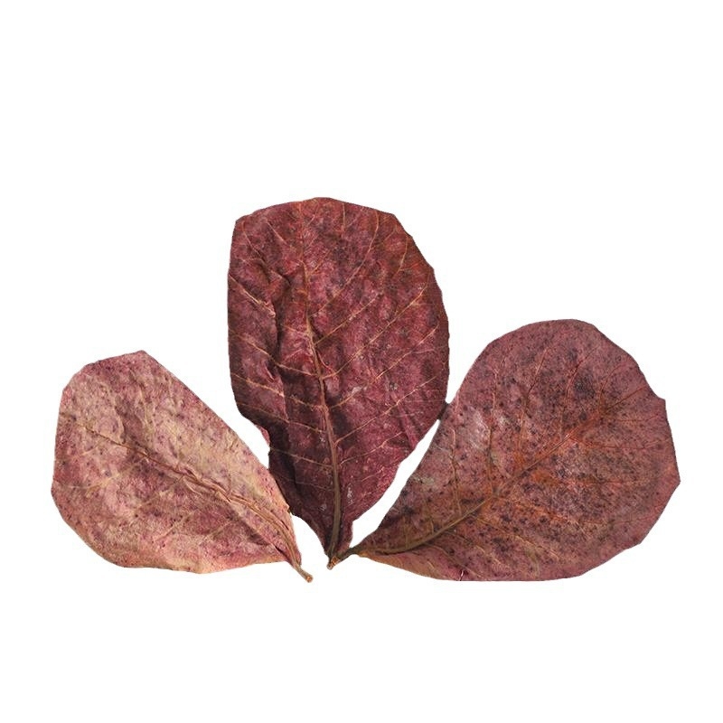 Deco frunză acvariu pentru peisaj – Plastic, Moss Micro Landscape, 100 g, 100 bucăți în cutie, Weibi