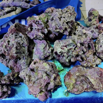 Živi kamen za akvarij — duboko morski ukrasni kamen, filtracijski materijal za ravnotežu kvalitete vode, šifra proizvoda Xy644472629625