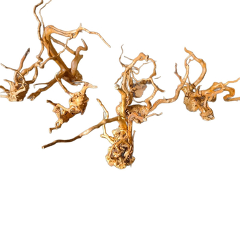 Dekor za akvarij: mahovina, drvo u obliku stabla, korijen rododendrona, 1 komad u kutiji