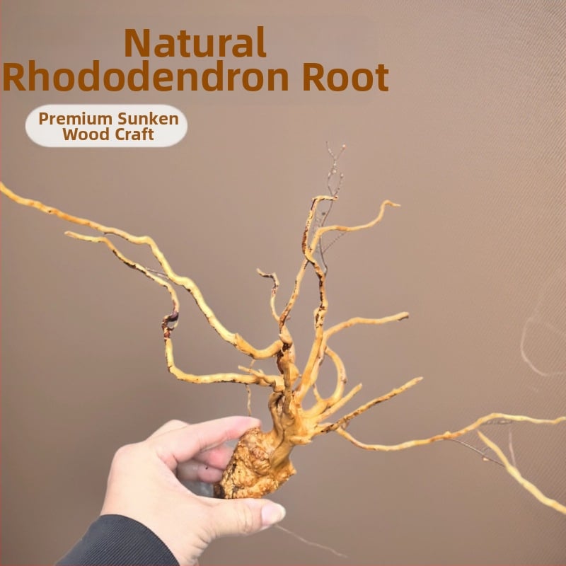 Dekor za akvarij: mahovina, drvo u obliku stabla, korijen rododendrona, 1 komad u kutiji