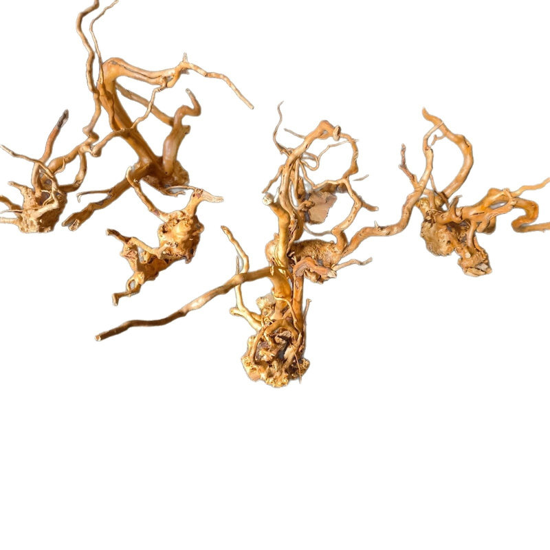 Dekor za akvarij: mahovina, drvo u obliku stabla, korijen rododendrona, 1 komad u kutiji