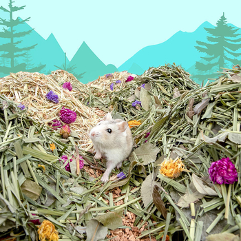 Așternut pentru animale mici din rumeguș de lemn — covoraș pentru hamsteri, iepuri și porci de Guinea, cu parfum, deodorizant, absorbant, cald, respirabil