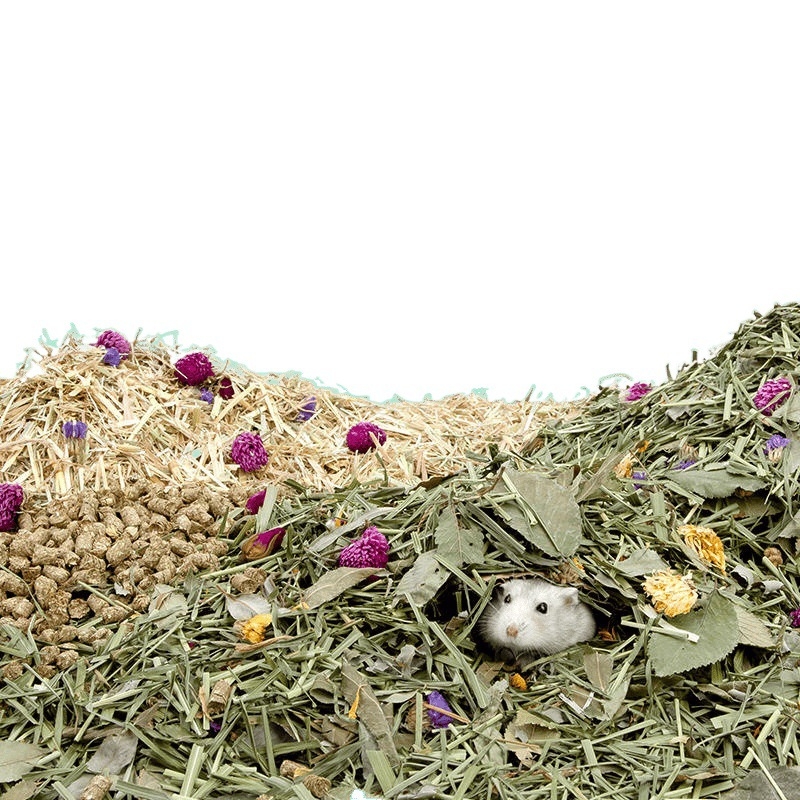 Așternut pentru animale mici din rumeguș de lemn — covoraș pentru hamsteri, iepuri și porci de Guinea, cu parfum, deodorizant, absorbant, cald, respirabil