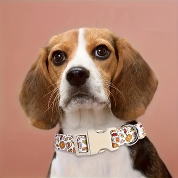 Set ogrlice i uzice za pse – poliester, marka Msnicewang, bez prilagodbe