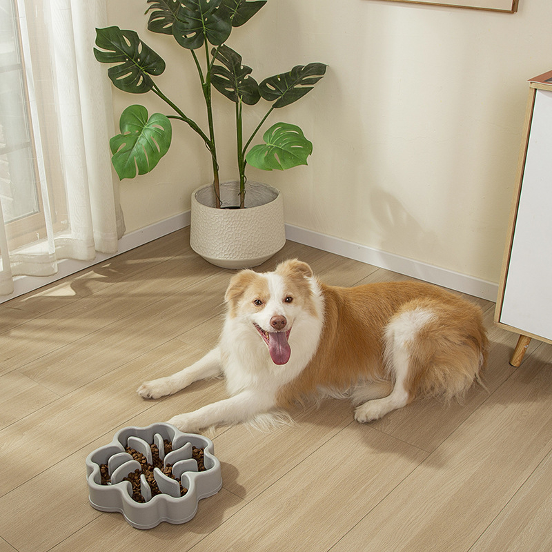 Πλαστικό μπολ αργής πρόσληψης για γάτες και σκύλους, αντι-πνιγμού, αντιολισθητικό, αντιανάτρεψη, προέλευση Ταϊτζού, κωδικός προϊόντος 6031/6032