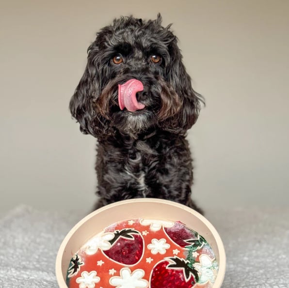 Μπολ σκύλου από σιλικόνη σε σχήμα φράουλας, κυκλικό, με αργή τροφοδοσία, αδιαρροϊκό, κατάλληλο για τρόφιμα, μάρκα Yc