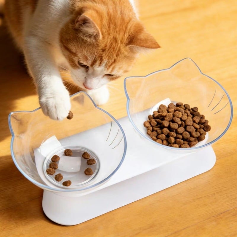 Μπολ φαγητού και ποσίμου για γάτες, πλαστικό, διπλό με κεκλιμένο χείλος