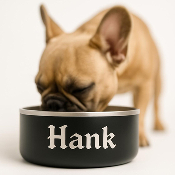 Dvoslojna posuda od nehrđajućeg čelika za psa, velika kapaciteta, posuda za hranu i piće s laserskim ugraviranim imenom