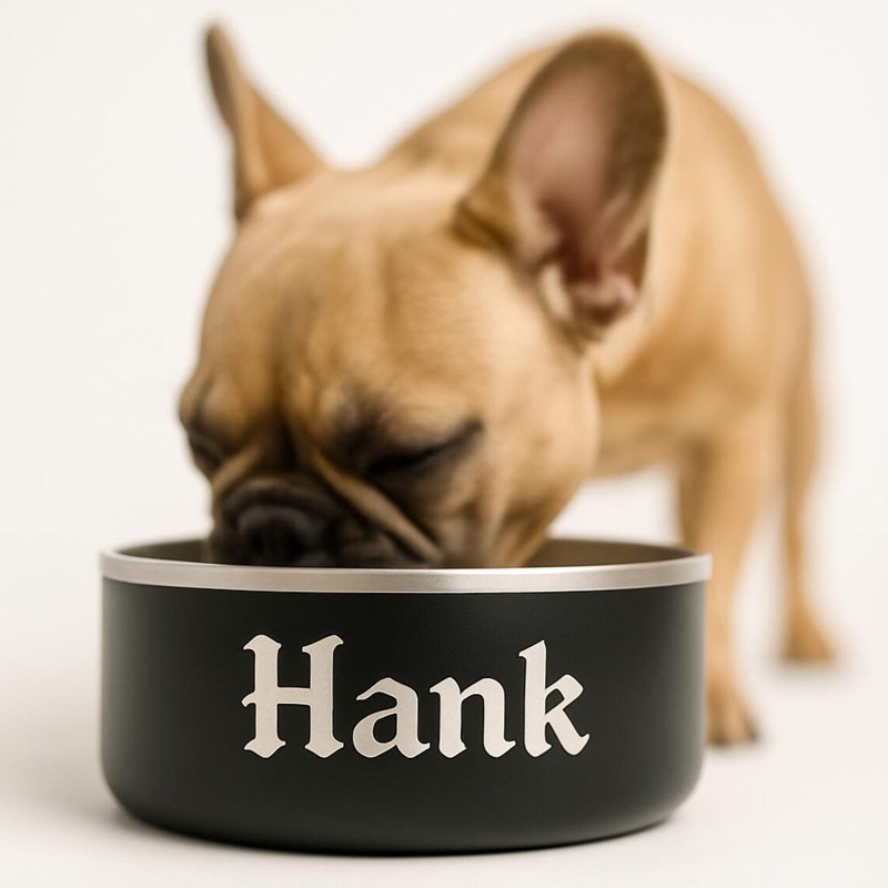 Dvoslojna posuda od nehrđajućeg čelika za psa, velika kapaciteta, posuda za hranu i piće s laserskim ugraviranim imenom