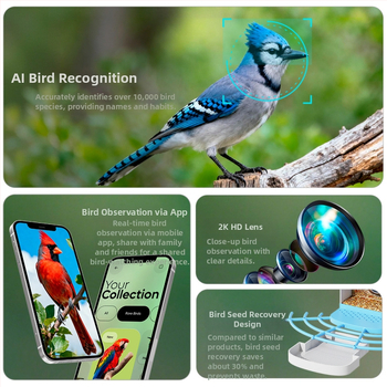 Έξυπνη τροφοδότης πουλιών με AI αναγνώριση, 2K HD κάμερα, εξωτερική ηλιακή τροφοδοσία και αδιαβροχή, Υποστήριξη εφαρμογής, Αποσπώμενος σχεδιασμός