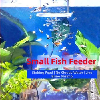 Brine Shrimp Feeder για ενυδρείο - κρεμαστός τύπος, αυτόματος αντι-ρεύματος, για γκούπι και μικρά ψάρια, ακρυλικός δακτύλιος