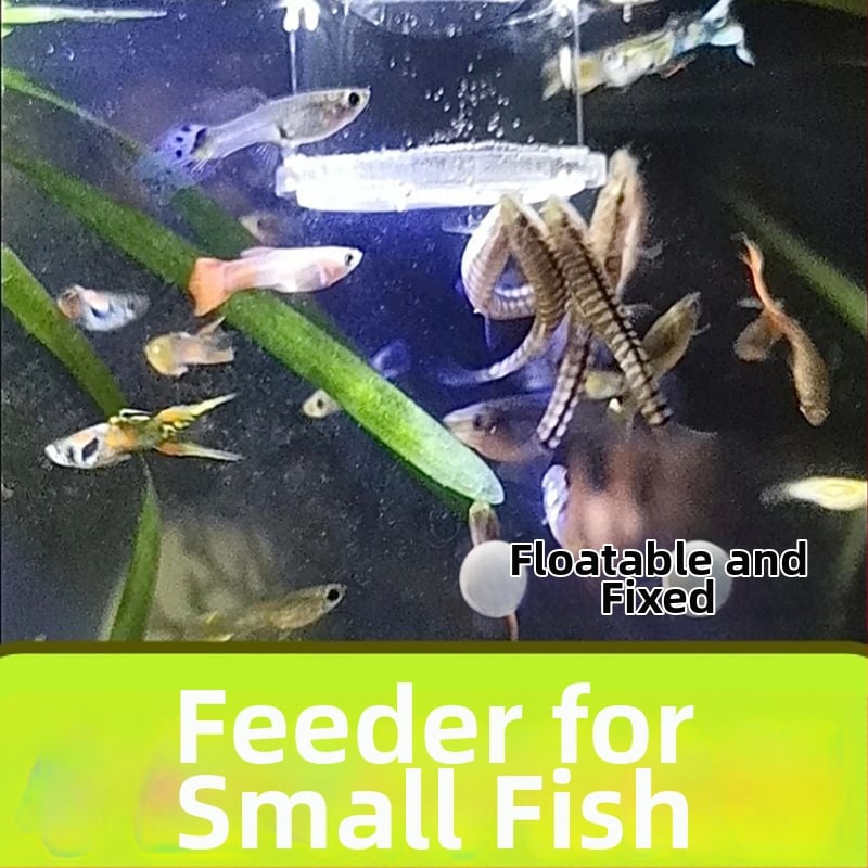 Brine Shrimp Feeder για ενυδρείο - κρεμαστός τύπος, αυτόματος αντι-ρεύματος, για γκούπι και μικρά ψάρια, ακρυλικός δακτύλιος