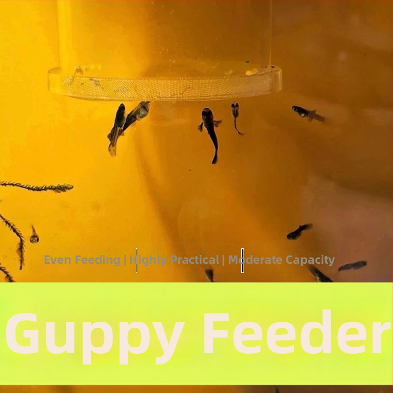 Brine Shrimp Feeder για ενυδρείο - κρεμαστός τύπος, αυτόματος αντι-ρεύματος, για γκούπι και μικρά ψάρια, ακρυλικός δακτύλιος