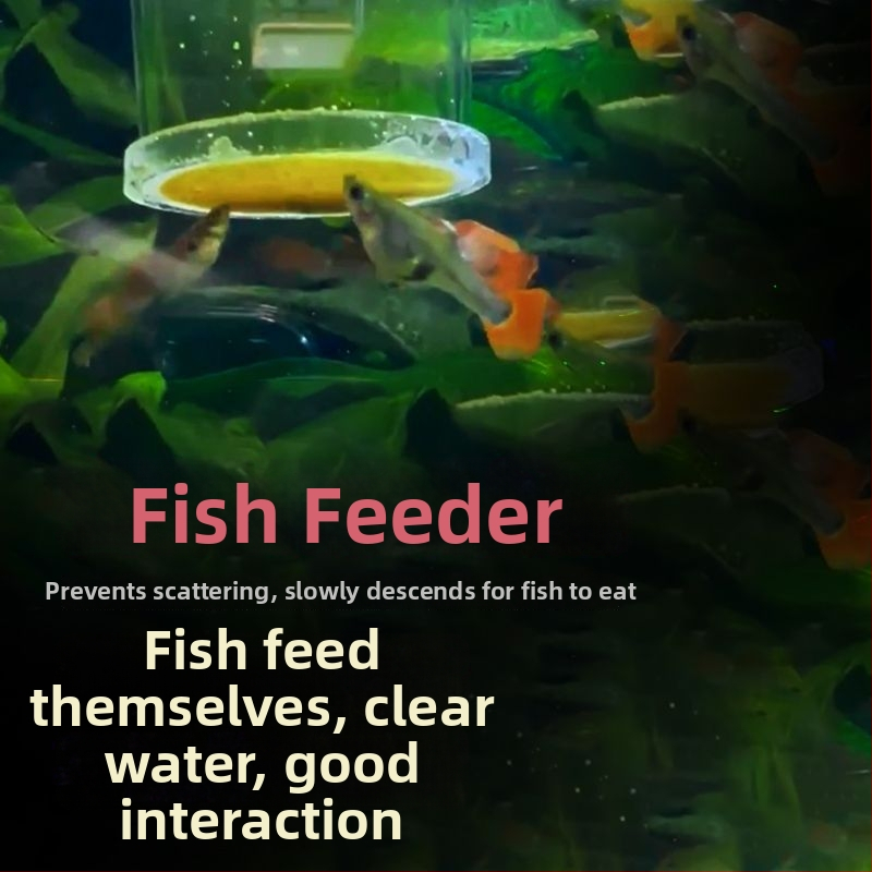 Brine Shrimp Feeder για ενυδρείο - κρεμαστός τύπος, αυτόματος αντι-ρεύματος, για γκούπι και μικρά ψάρια, ακρυλικός δακτύλιος