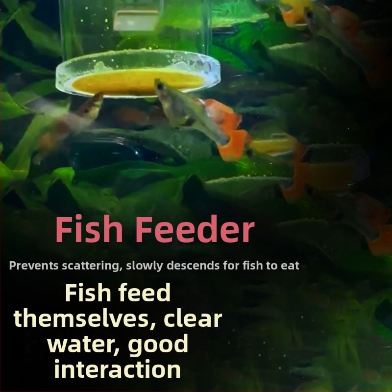 Brine Shrimp Feeder για ενυδρείο - κρεμαστός τύπος, αυτόματος αντι-ρεύματος, για γκούπι και μικρά ψάρια, ακρυλικός δακτύλιος