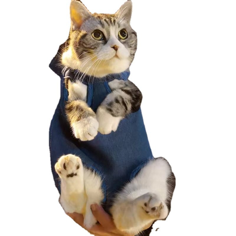 Sklopiva platnena torba za kućne ljubimce za mačke i male pse, prijenosni putni ruksak