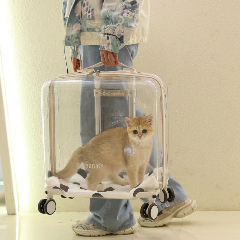 Torba za prijevoz mačaka, prozirna i prozračna, PC materijal, Berana