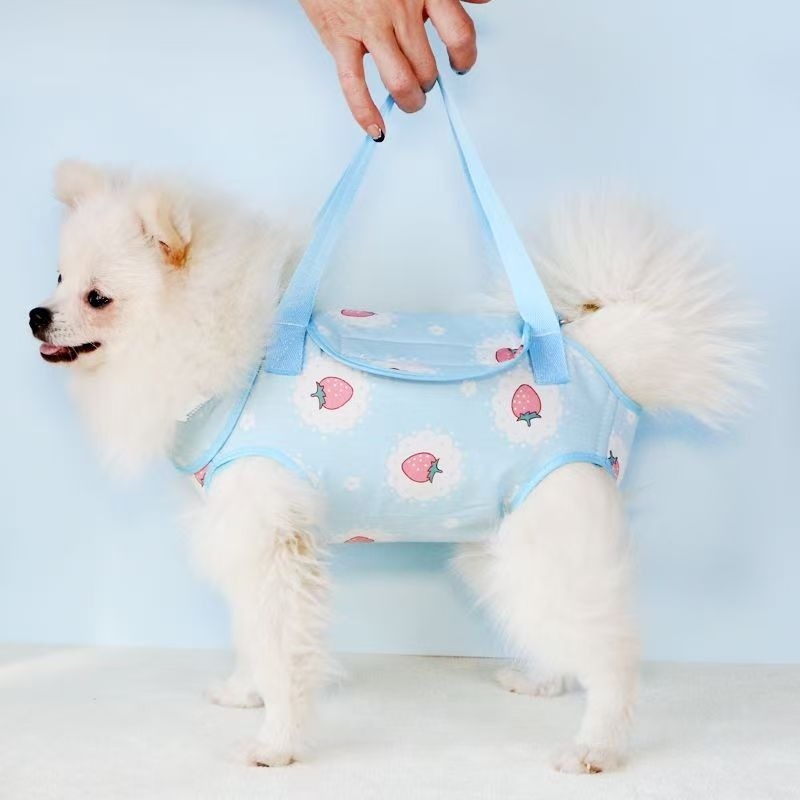 Geantă pentru animale de companie — Crossbody pe piept și pe spate, pentru câini și pisici, material PP