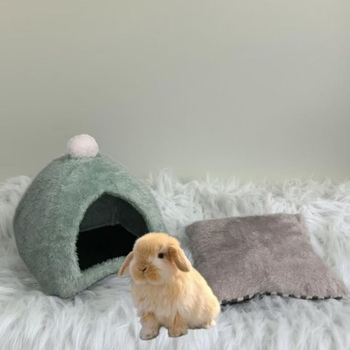 Cuib pentru animale de companie mici – potrivit pentru iepuri, purcel de Guinee, pisici, câini și păsări – Material: Alt; Brand: Altă; Import: Nu