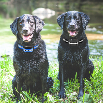 Ovratnik za kontrolu laja sa funkcijom obuke, TPU ovratnik za pse