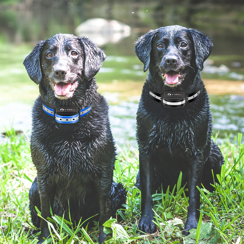 Ovratnik za kontrolu laja sa funkcijom obuke, TPU ovratnik za pse
