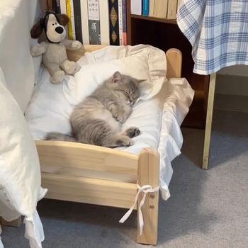 Beltéri macskafészek, levehető és mosható huzat, légáteresztő és meleg, minden évszakra, fa keretű