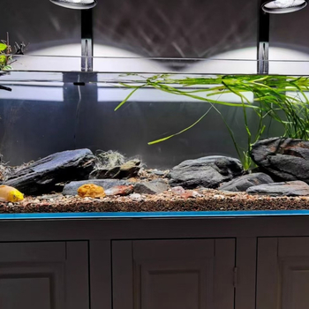 Glavni kamen za aquascaping – kamen potoka, nepravilan oblik, porijeklo Hebei